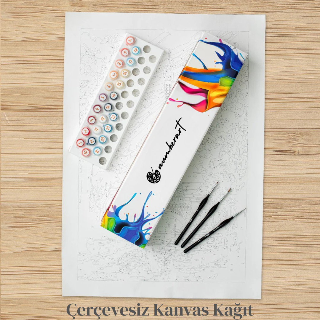 Kişiye Özel Sayılarla Boyama Kanvas Tablo